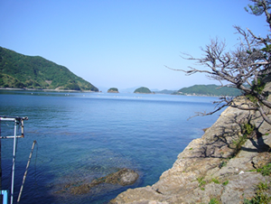 戸島の写真